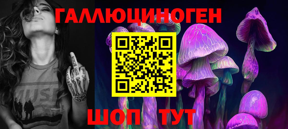 Псилоцибиновые грибы Cubensis Обнинск