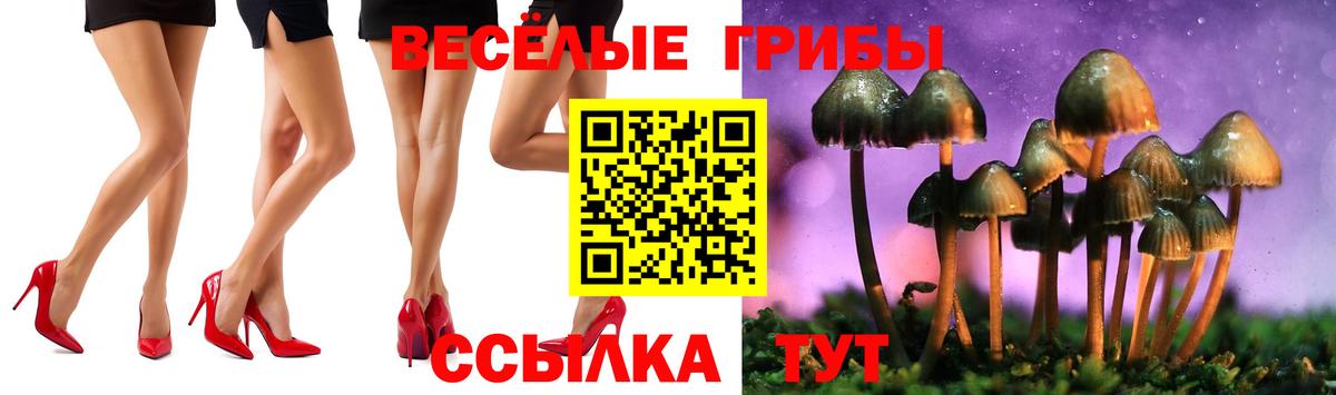 Галлюциногенные грибы Psilocybine cubensis  Вход с VPN  Обнинск  Псилоцибиновые грибы Psilocybine cubensis 